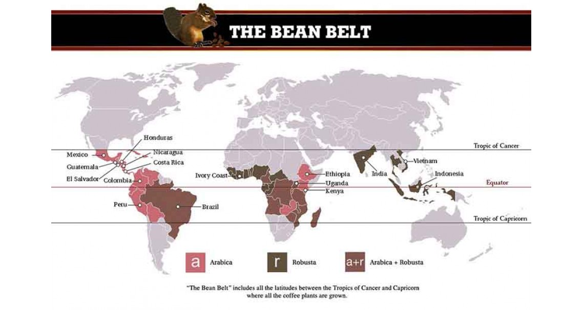 Coffee Bean Belt Around the World