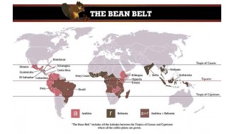 Coffee Bean Belt Around the World