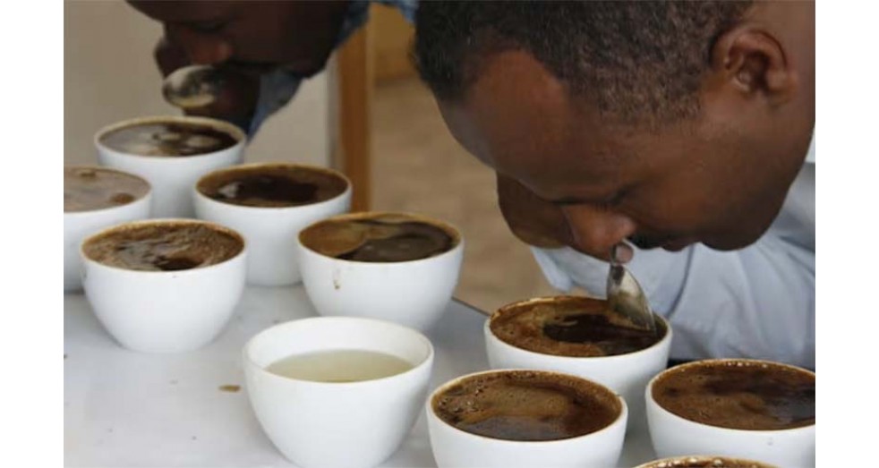 Coffee Cupping：How Professionals Taste Coffee