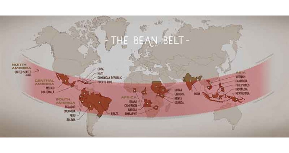 The Coffee Belt: What Is It And Where Is It Located?