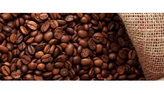 Why Fresh Roasted Coffee Matters